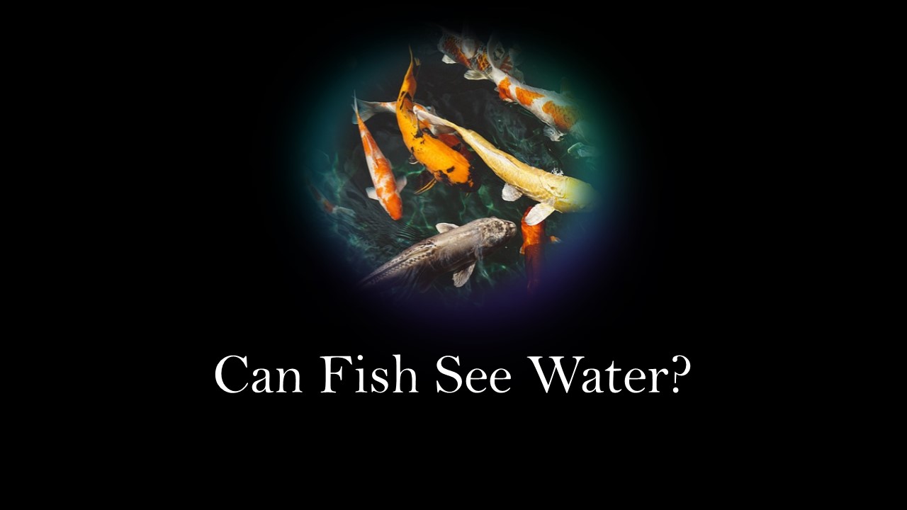 Can Fish See Water?