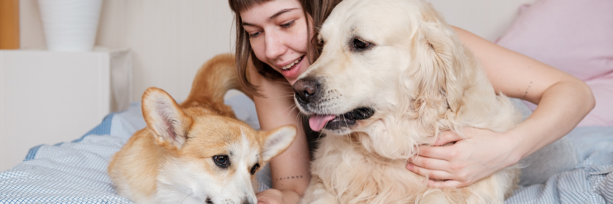 10 Signs Your Pet Is Truly Healthy
