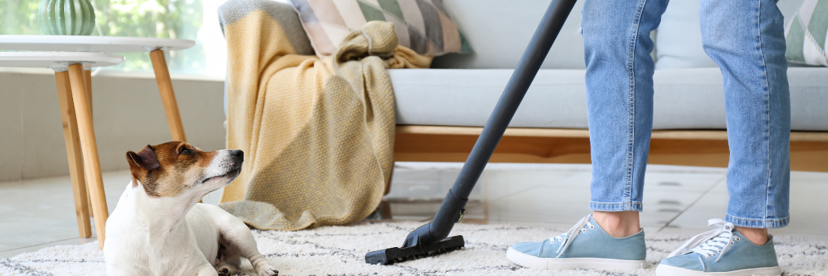 Cleaning Tips for Pet-Friendly Homes