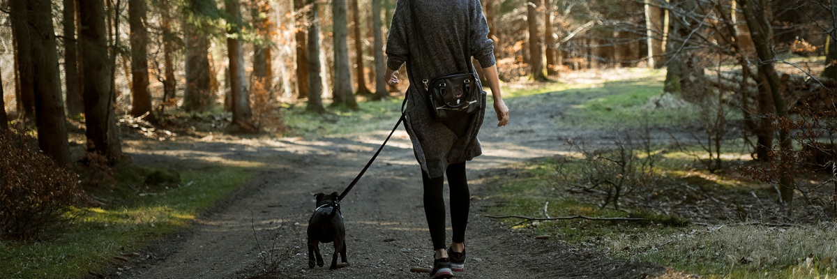 How Much Daily Exercise Does Your Pet Really Need?