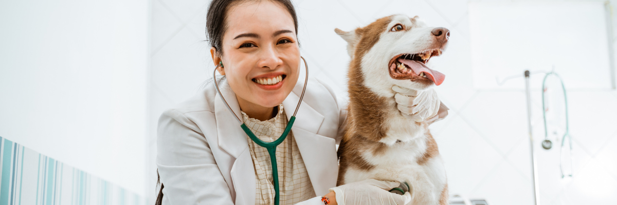How Often Should You Take Your Pet to the Vet?