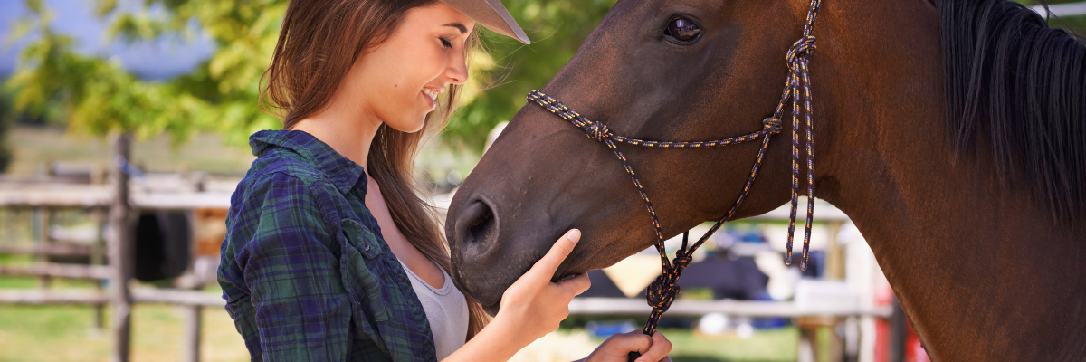 How to Build a Stronger Bond with Your Pet