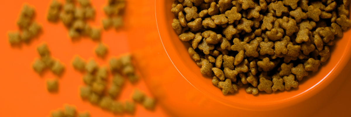 How to Read a Pet Food Label Like a Pro