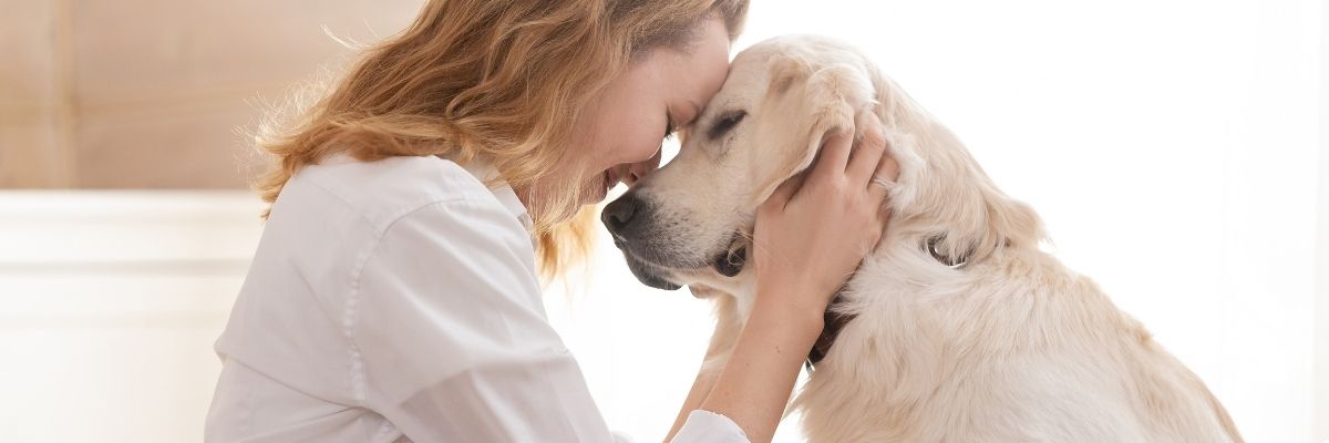Pet Bonding