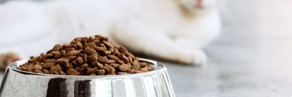 Pet Food Selection